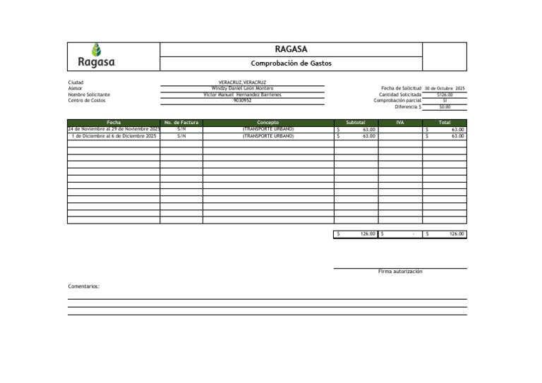 FORMATO CDG Victor Manuel Hernandez Barrienes | PDF