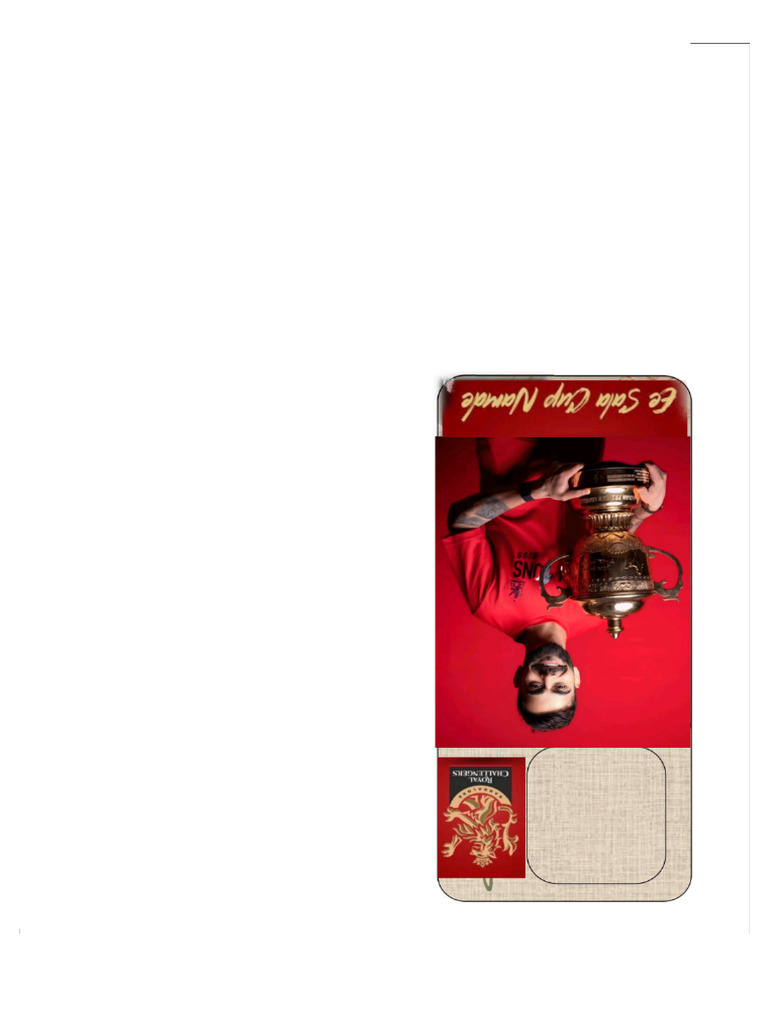 RCB Back | PDF