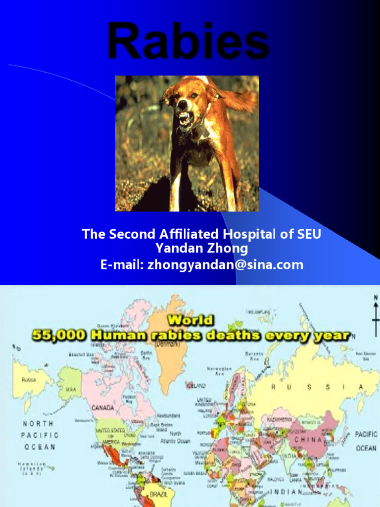 6 Rabies-东大留学生班 | PDF | Rabies | Virus
