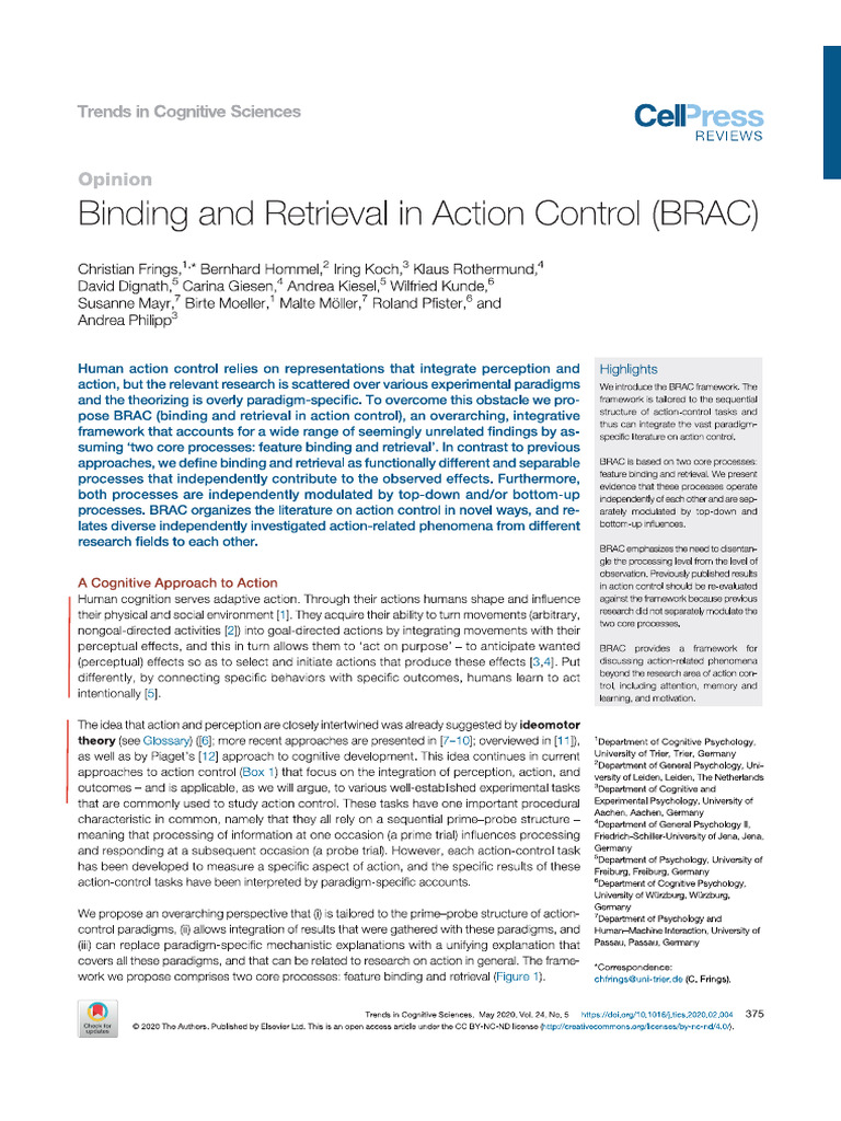 Brac Model | PDF