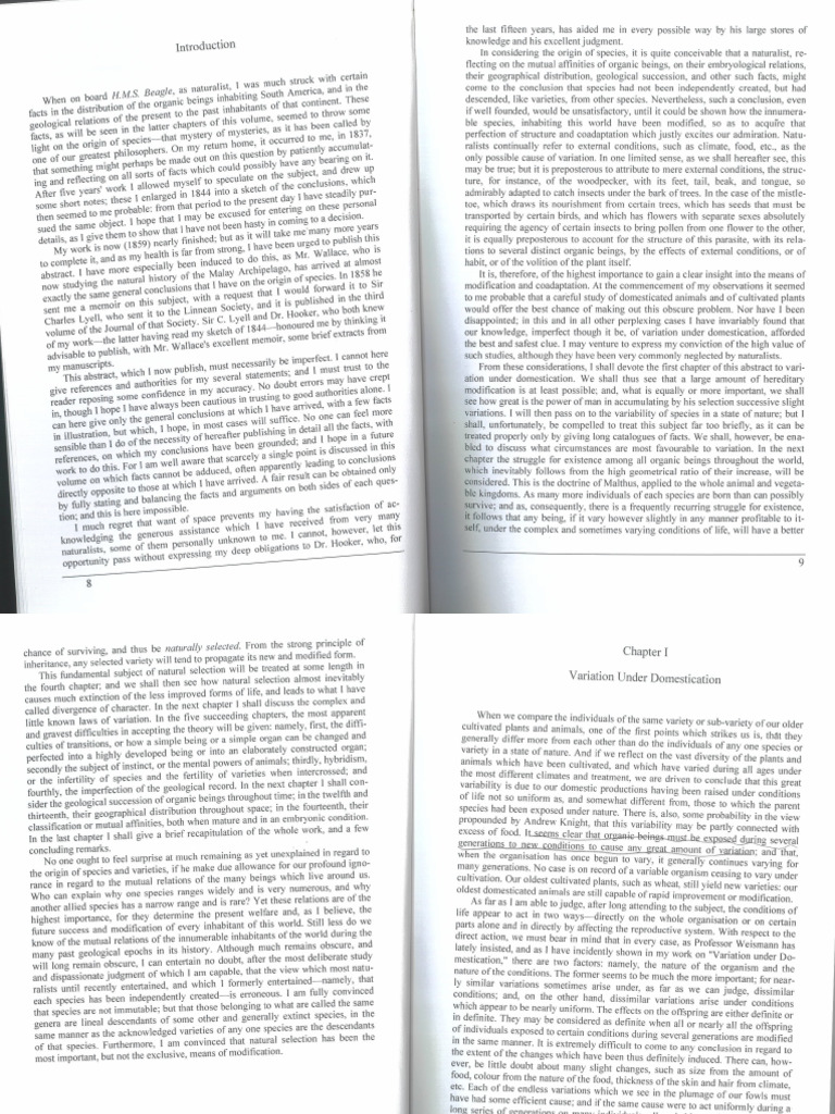 Origin Excerpts | PDF