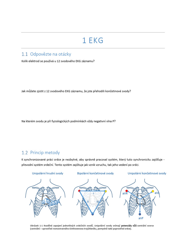 JJ Ekg 22 1 Final | PDF