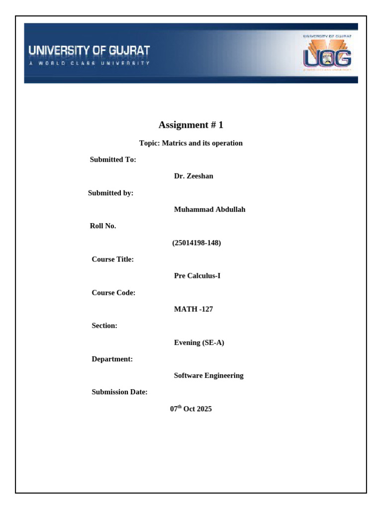 Assignment # 1 | PDF