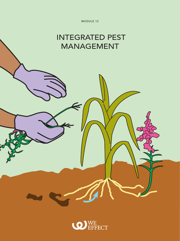 Module 12 Integrated Pest Management | PDF | Pest (Organism ...