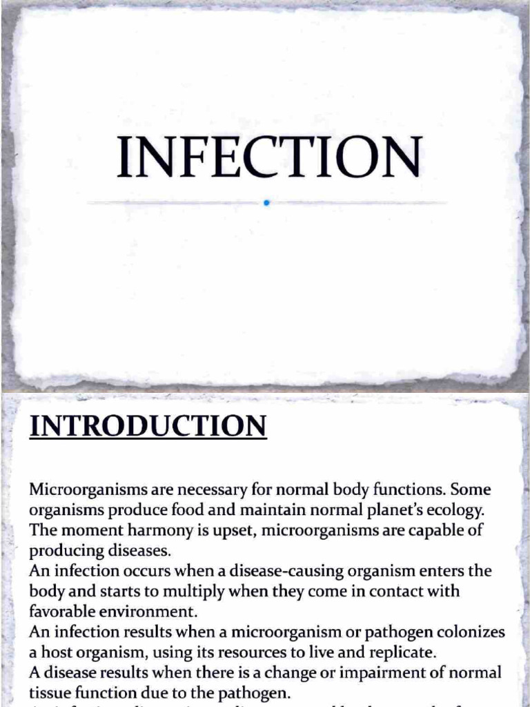 Infection Process | PDF