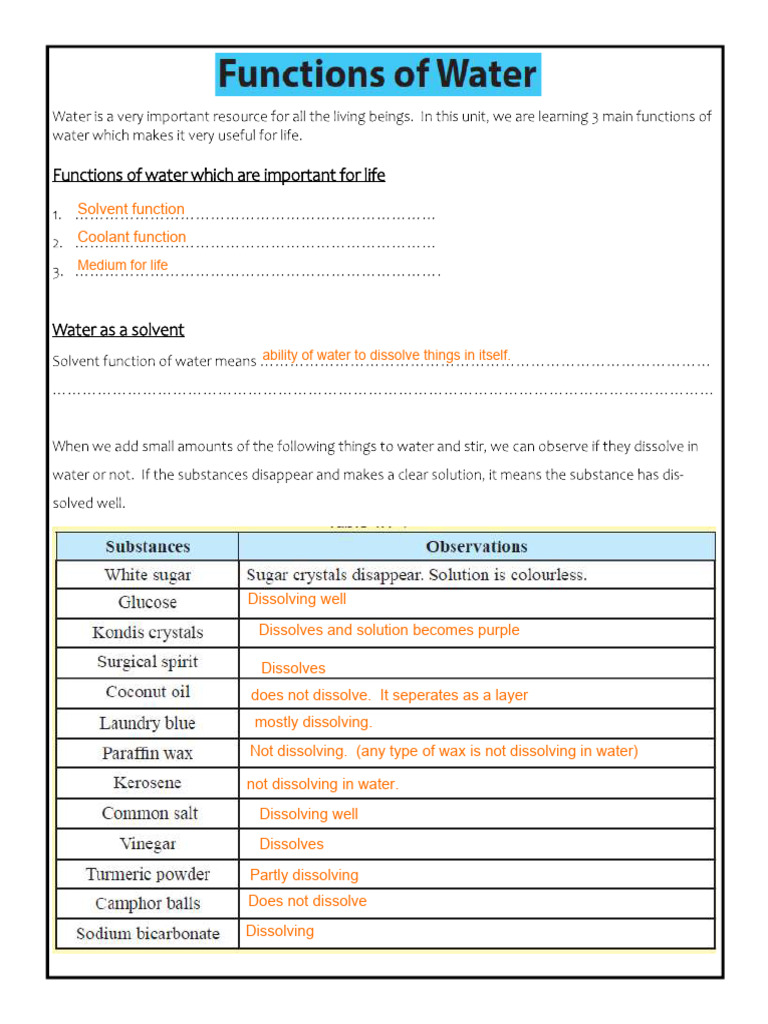 Annotated Tute - Unit 4 - Functions of Water - Grade 7 | PDF | Water | Salt