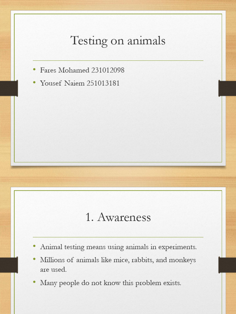 Animal Testing Five Stages Presentation | PDF