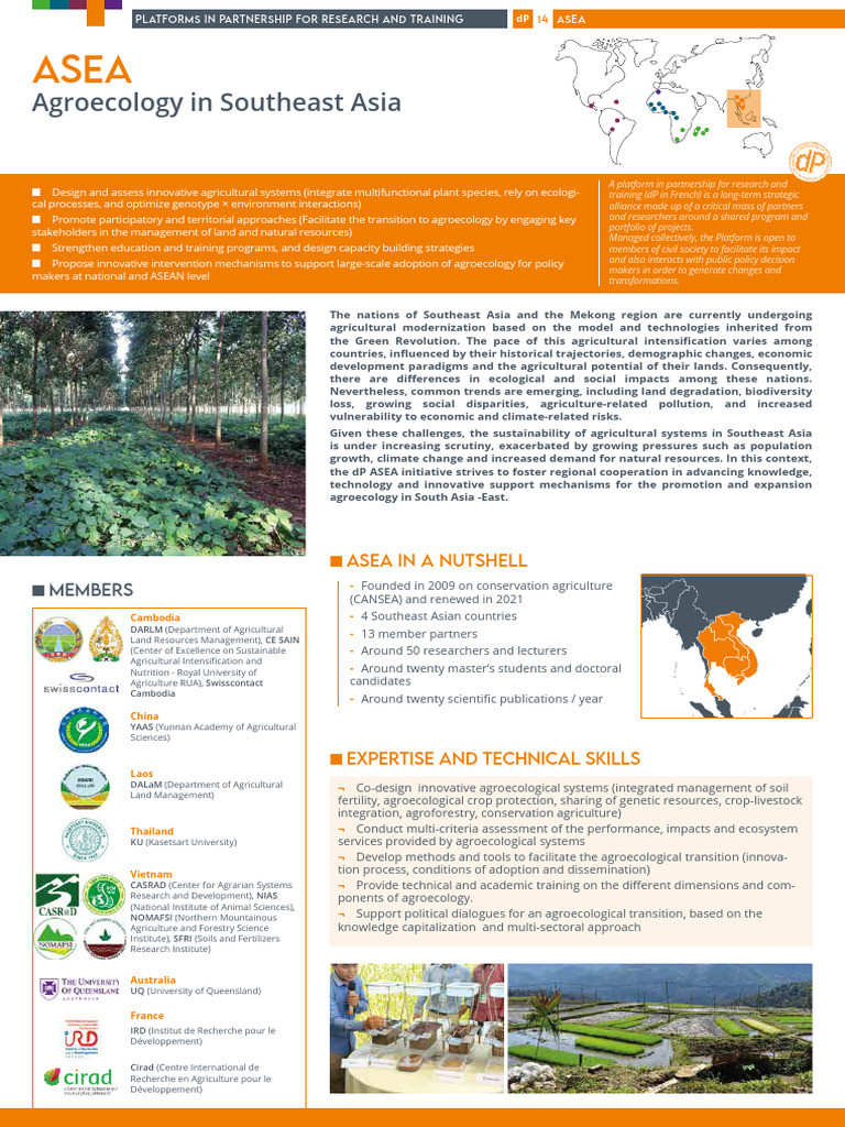 ASEA Eng | PDF