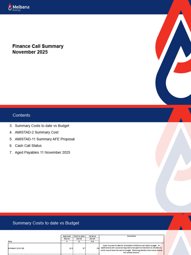 Finance Call Summary | PDF | Business