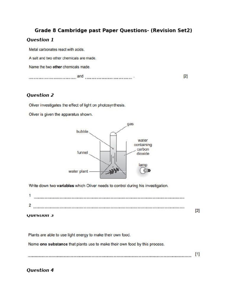 Mr. Ray's Made Revision Paper Set 2 | PDF