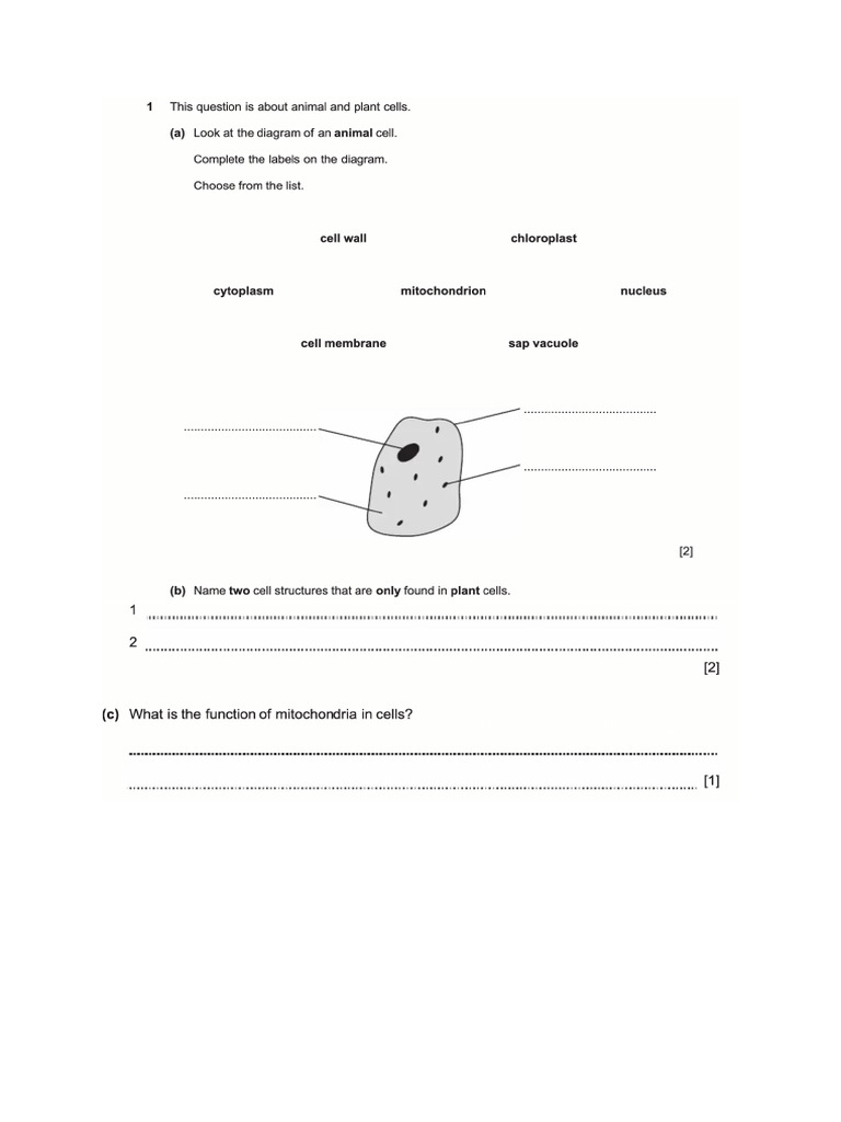 Science Paper 1 | PDF