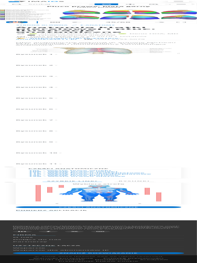 Anatomia Klatki Piersiowej Ilustracje Normalna Anatomia E-Anatomy | PDF