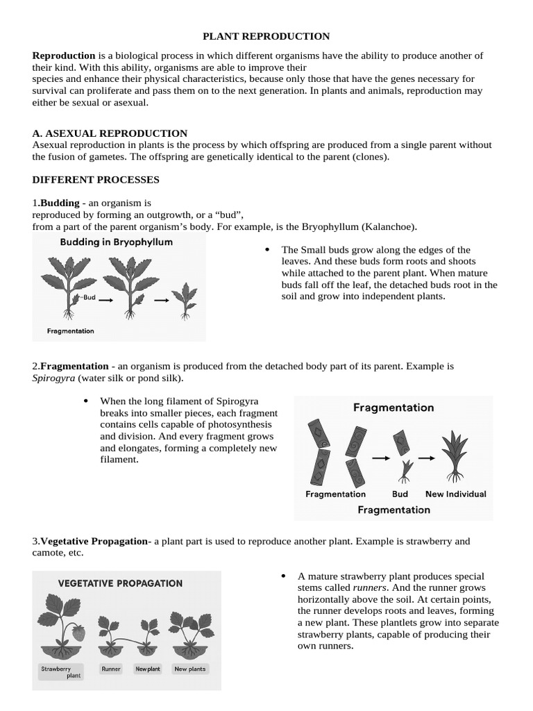 Plant Reproduction 011714 | PDF