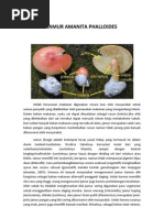 Download Jamur Amanita Phalloidesa by Chornel D P Sitompul SN101388757 doc pdf