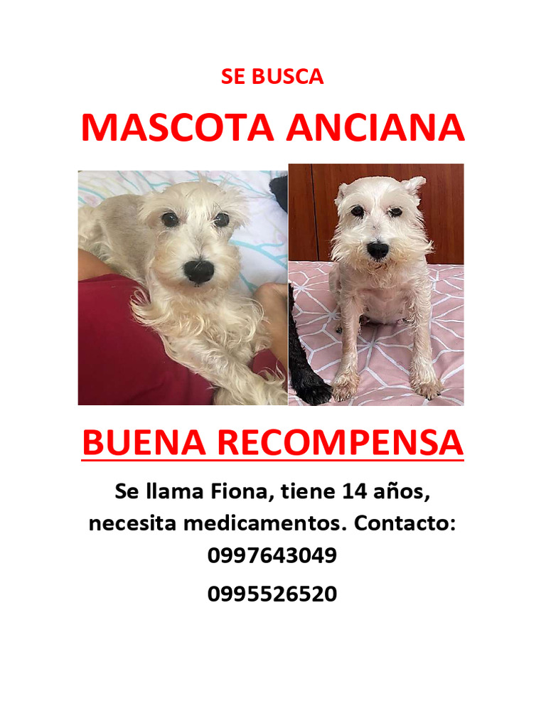 Se Busca | PDF