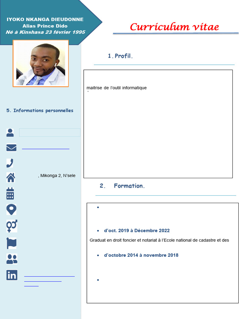 CV Stylé | PDF