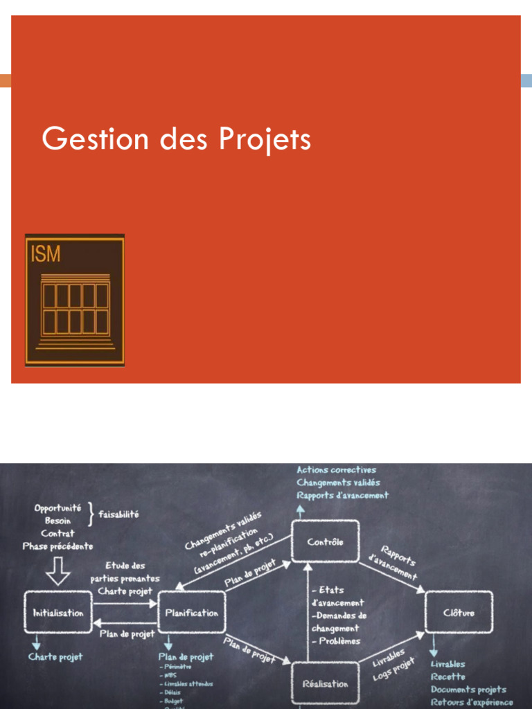 Management & Gestion de Projet-Std | PDF