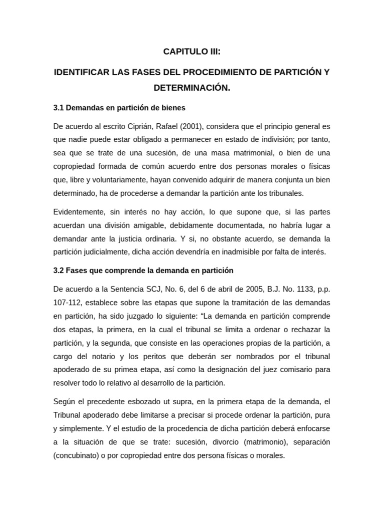 Capitulo Iii | PDF