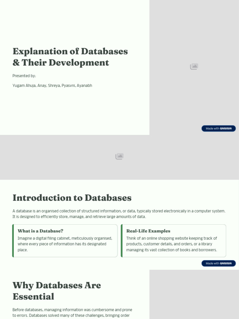 Explanation of Databases and Their Development | PDF