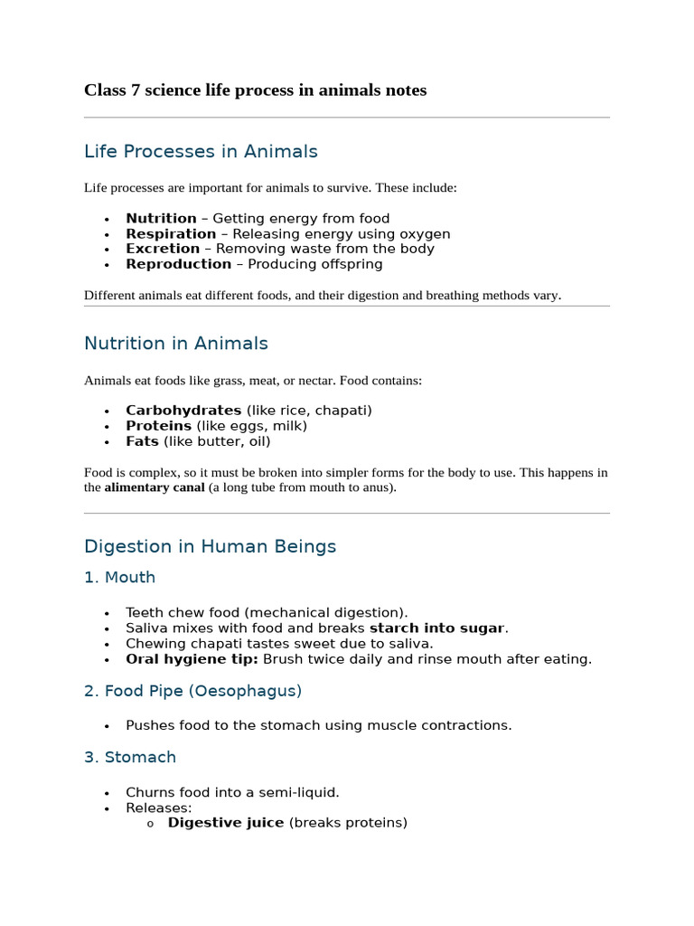 Class 7 Science Life Process in Animals Notes | PDF