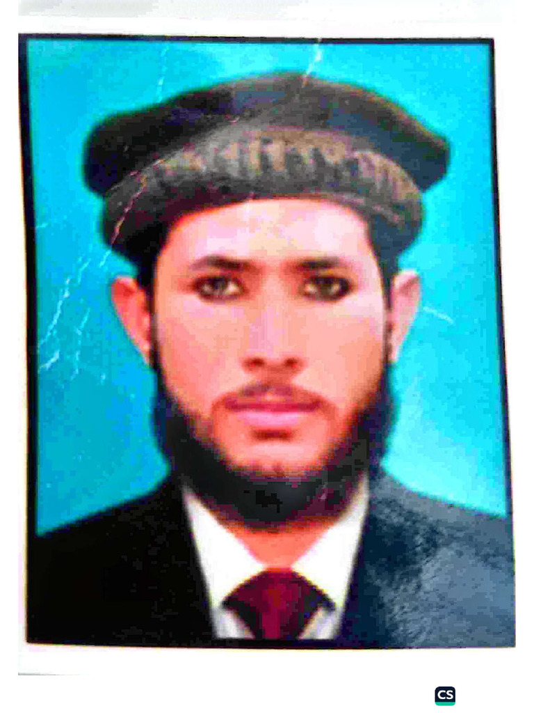 Ali Raza - Compressed (1) - Compressed | PDF