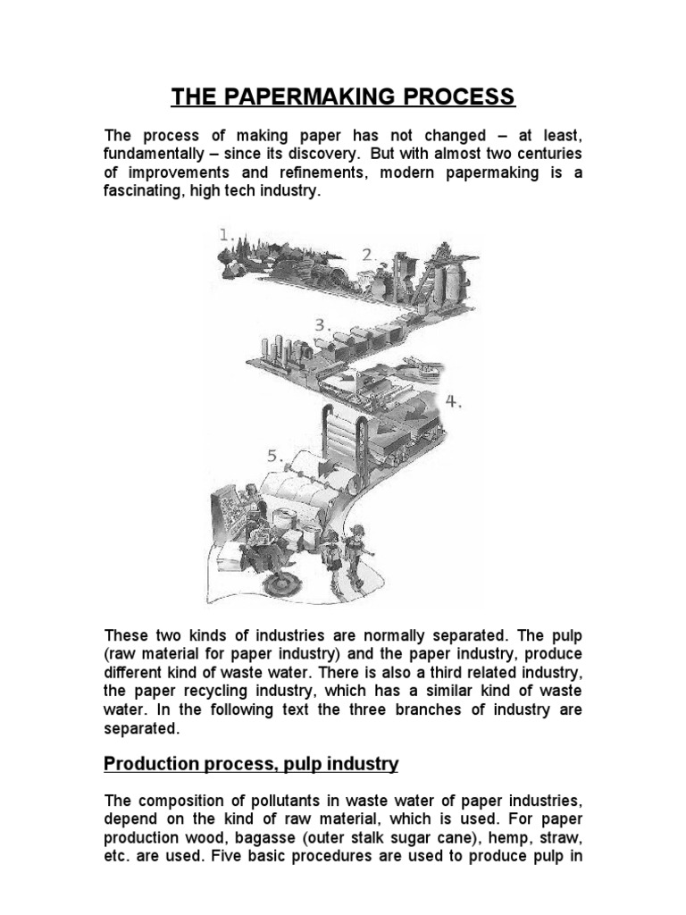 The Papermaking Process PDF Pulp (Paper) Paper