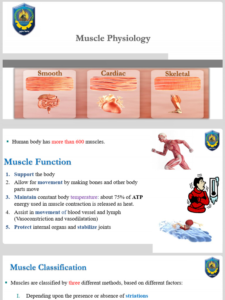 Smooth Cardiac Skeletal: Please Insert A Figure in The Master ...