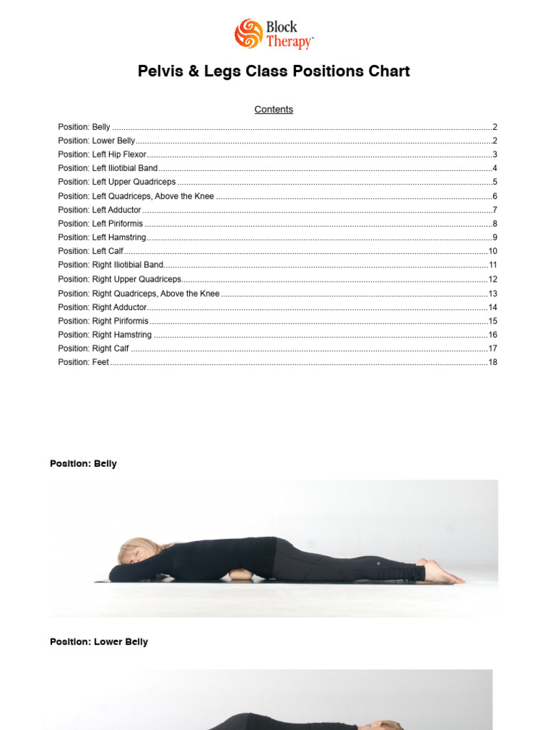 Pelvis & Legs Positions | PDF