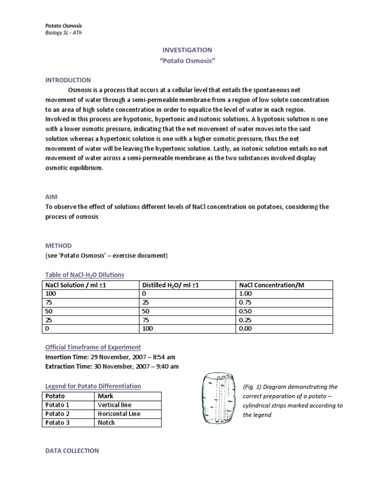Sample Lab Report Potato Osmosis Osmosis Chemistry Prueba