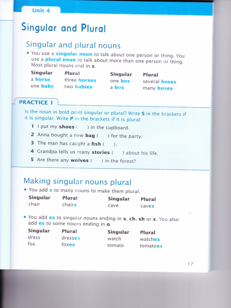 ACELP1&2 Unit 4 Singular and Plural | PDF