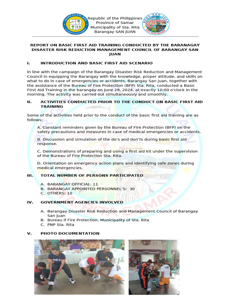 BDRRM Activity Report | PDF