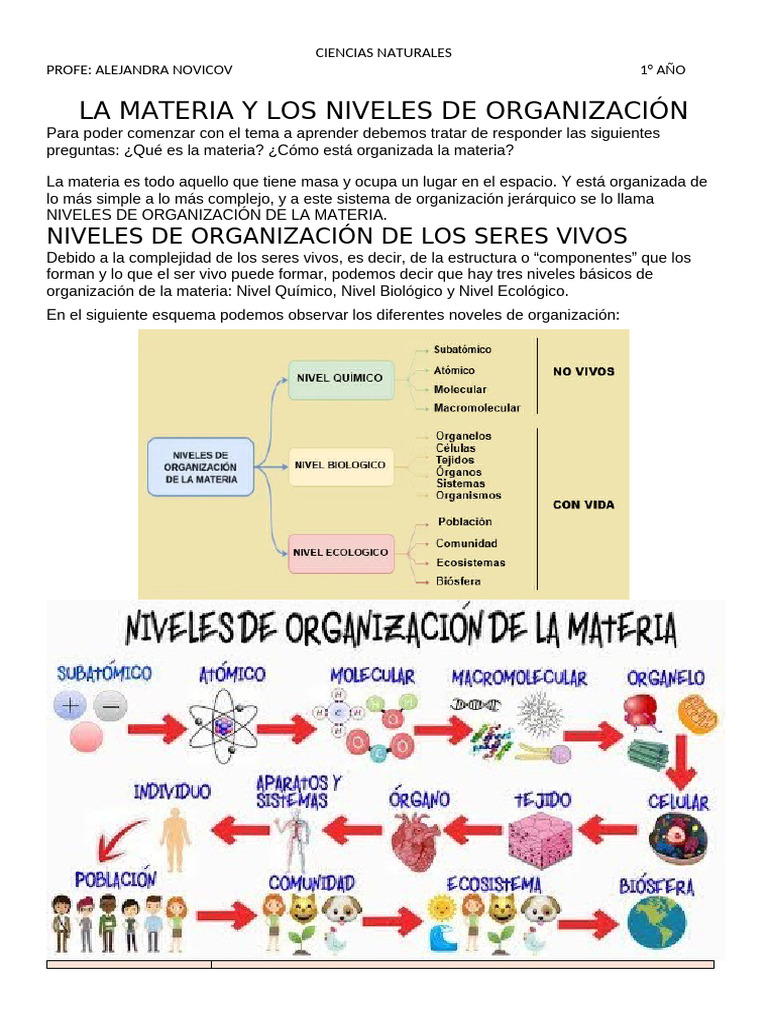 La Materia y Los Niveles de Organización | PDF | Organismos | Importar