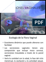 Infecciones vaginales