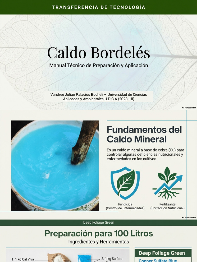 Clado Bordelés | PDF