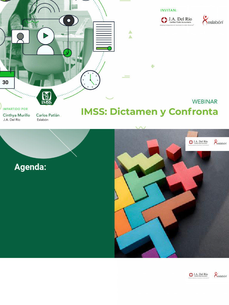 IMSS - Dictamen y Confronta | PDF