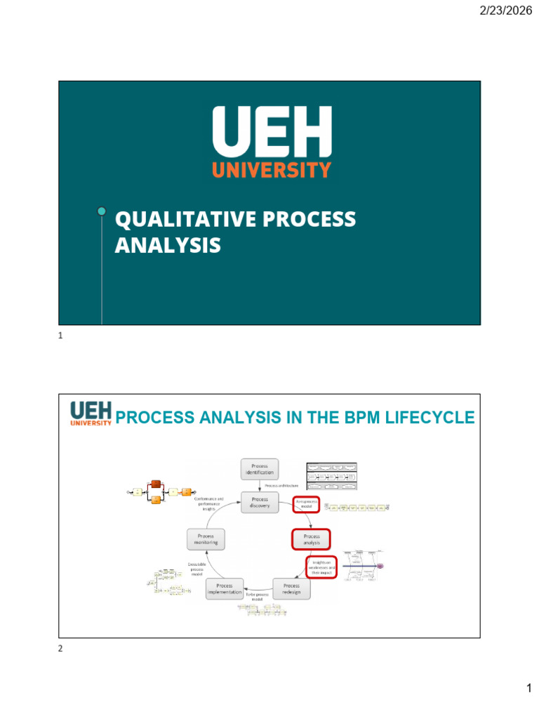 Qualitative Process Analysis | PDF
