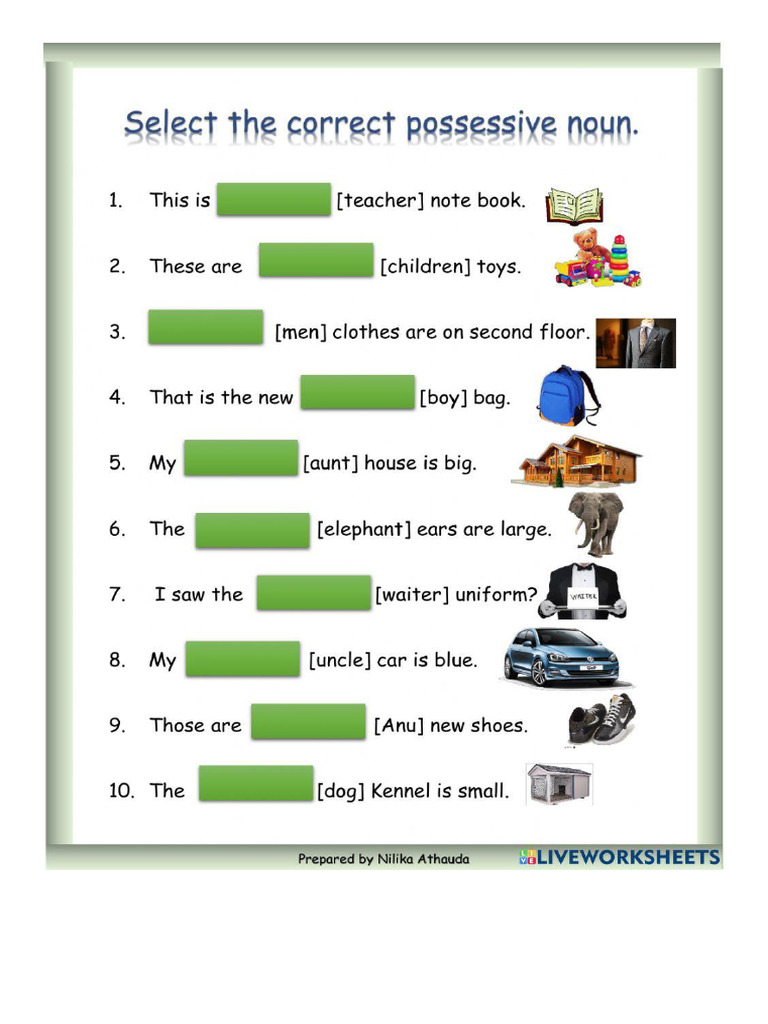 Possessive Form ('S) | PDF