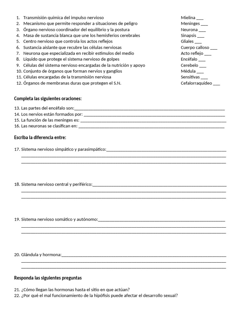 Transmisión Química Del Impulso Nervioso | PDF | Sistema nervioso | Cerebro
