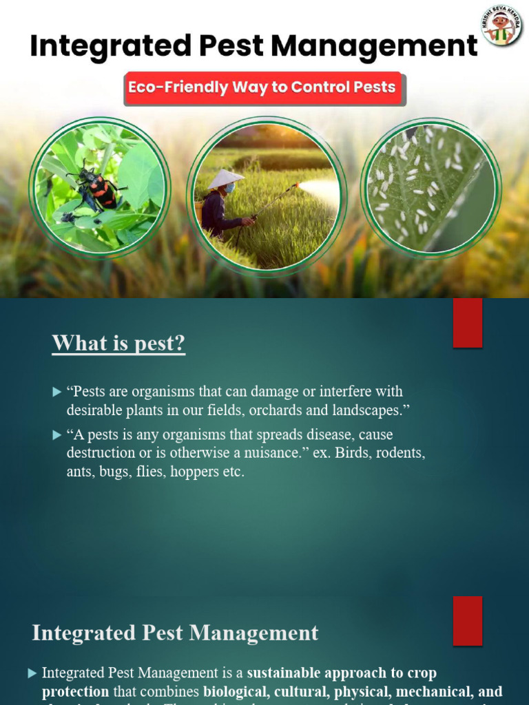 Integrated Pest Management (Ipm) (Autosaved) | PDF | Pest Control ...