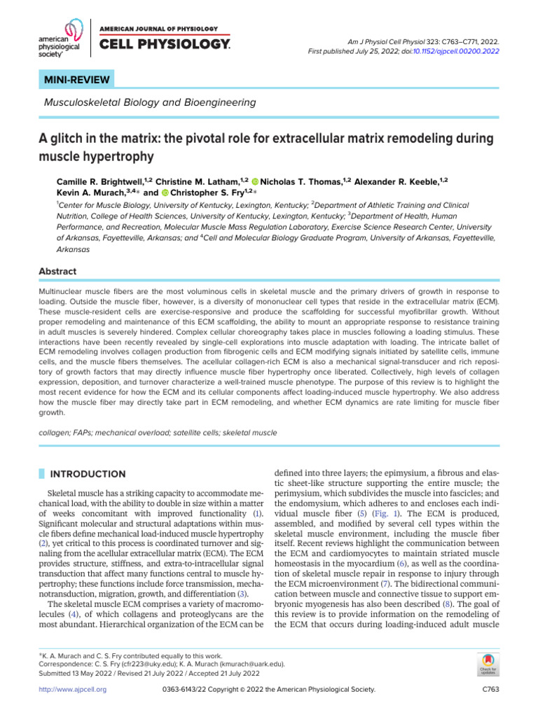 Review - The Pivotal Role For Extracellular Matrix Remodeling During ...