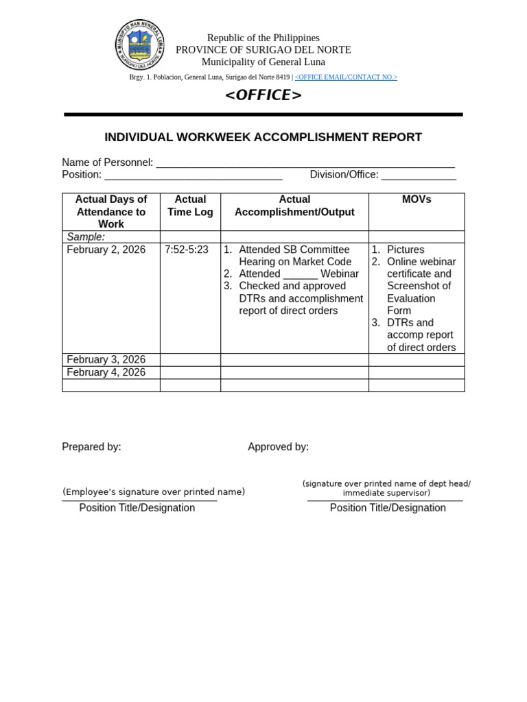 Individual Workweek Accomplishment Report | PDF