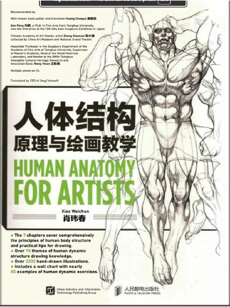 Human Structure | PDF