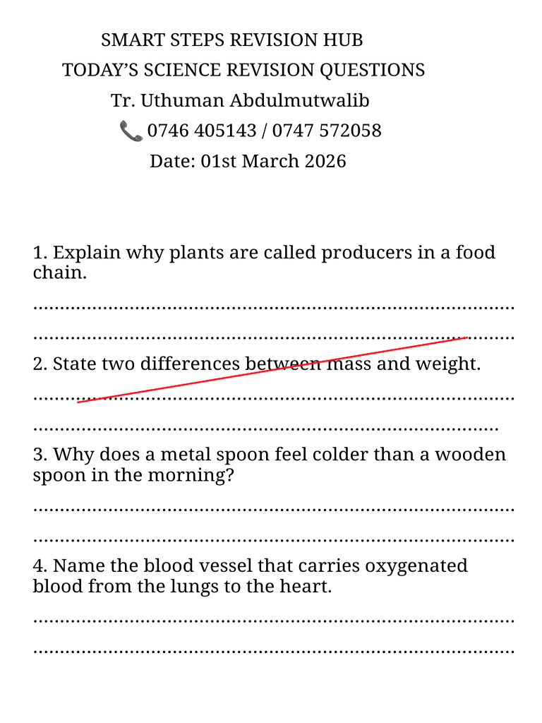 Smart Steps Revision Hub Science Set 4 | PDF