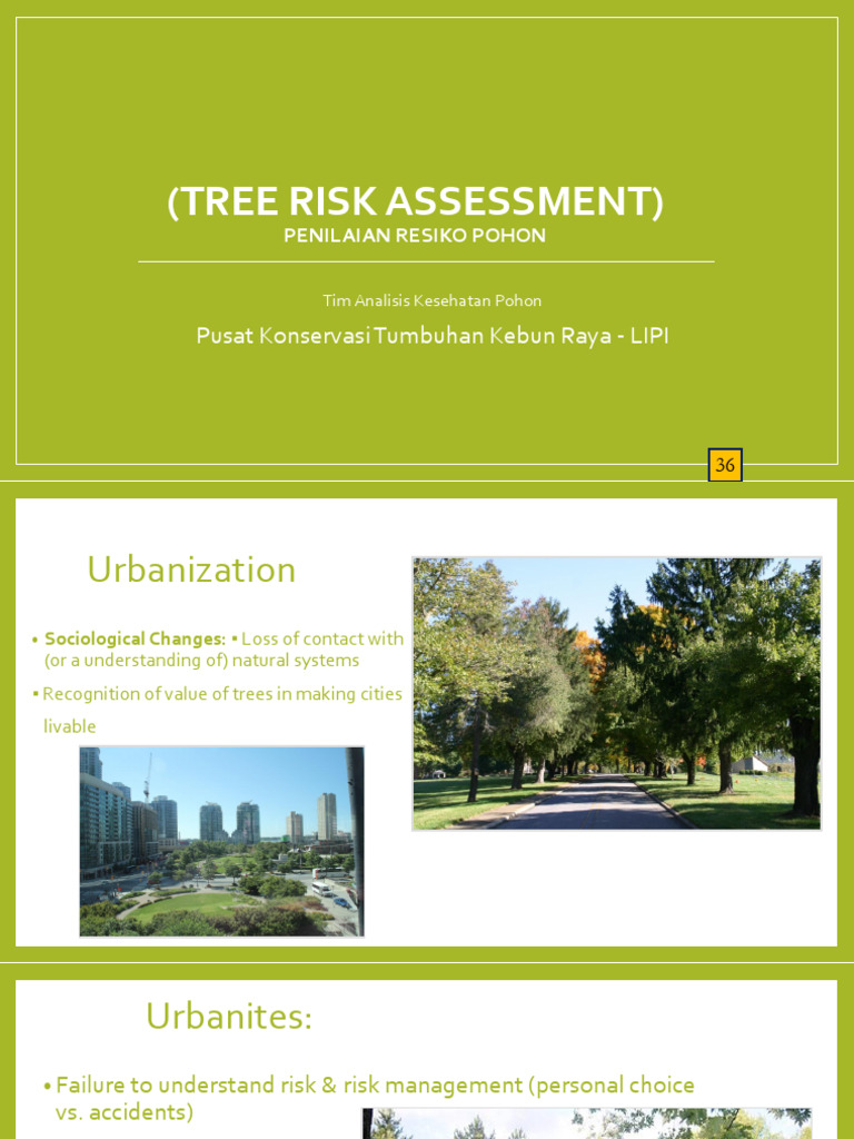 Materi 2 Tree Risk Assesment | PDF