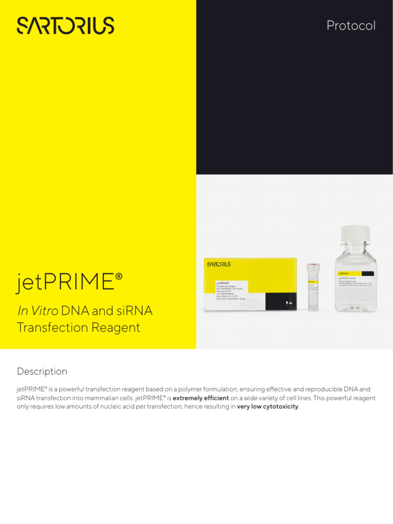 DNA SiRNA Transfection Reagent JetPRIME Protocol en Sartorius | PDF