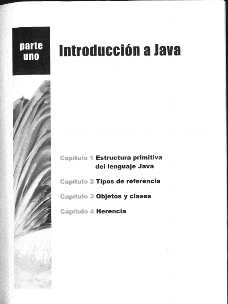 Estrructura de Datos en JAVA - Tema 1 | PDF