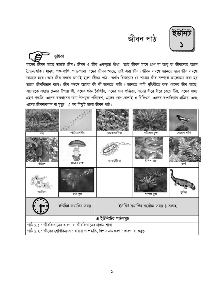 Biology 1st HSC Unit 1 | PDF