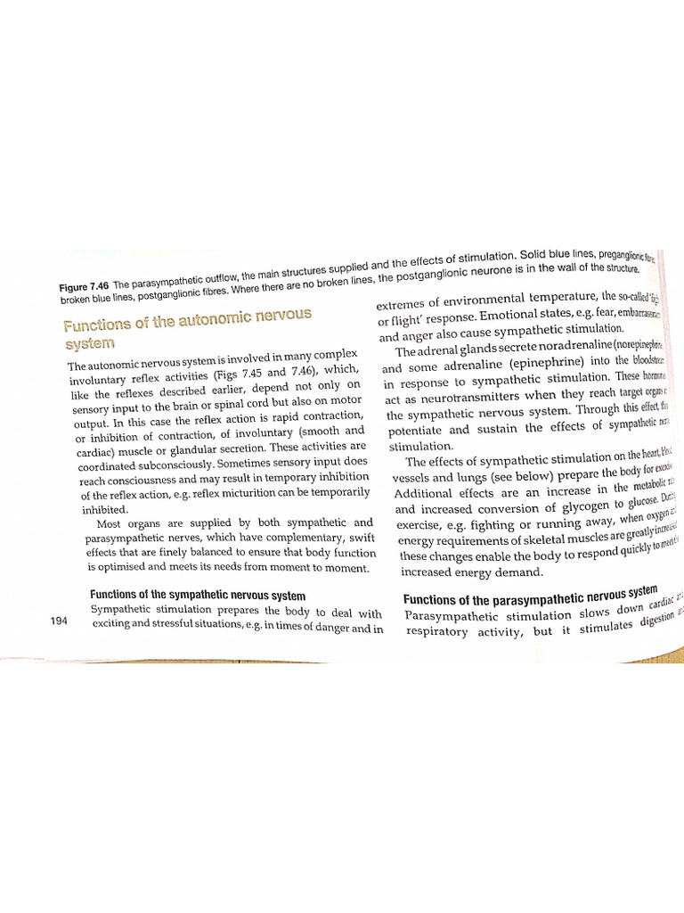 Ans | PDF