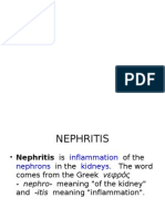 Nephritis