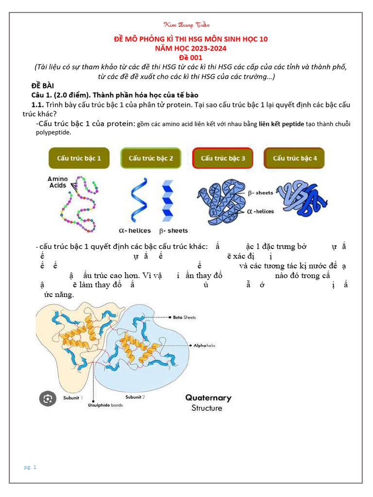 Đề HSG 2 | PDF